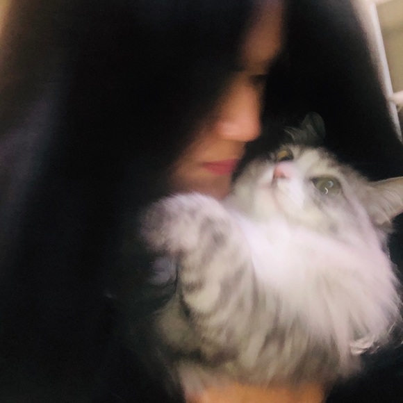 Meet your Posher, Mabel - Picture 1 of 1